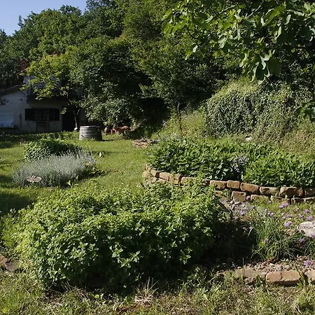 Agroturismo Farm Domacija Butul Koper