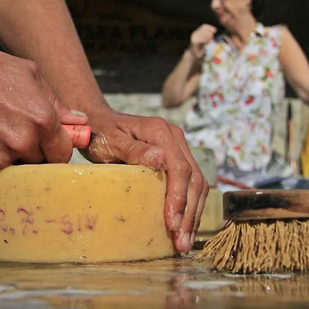 Séjour à la ferme Farm Domacija Butul