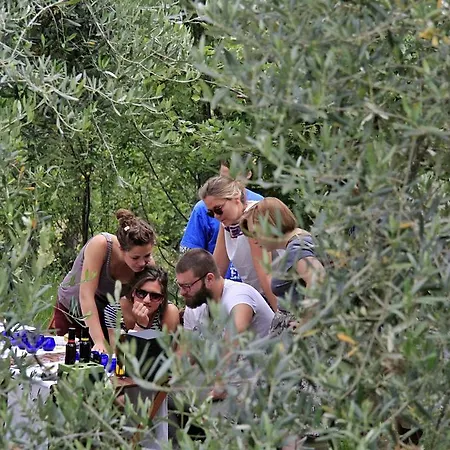 Séjour à la ferme Farm Domacija Butul Koper