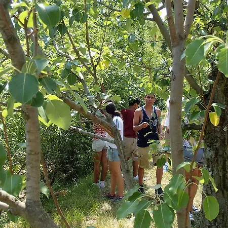 Agroturismo Farm Domacija Butul Koper