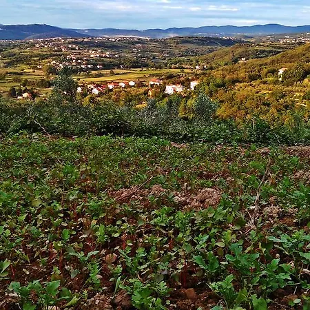 Farm Domacija Butul Koper