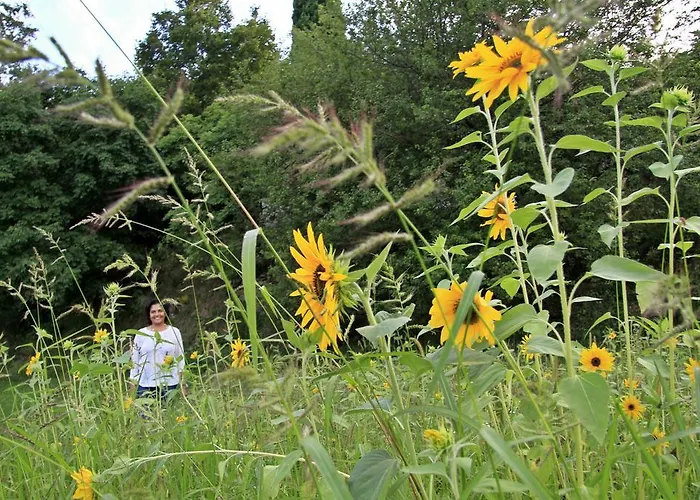 Farm Domacija Butul Alloggio per agriturismo