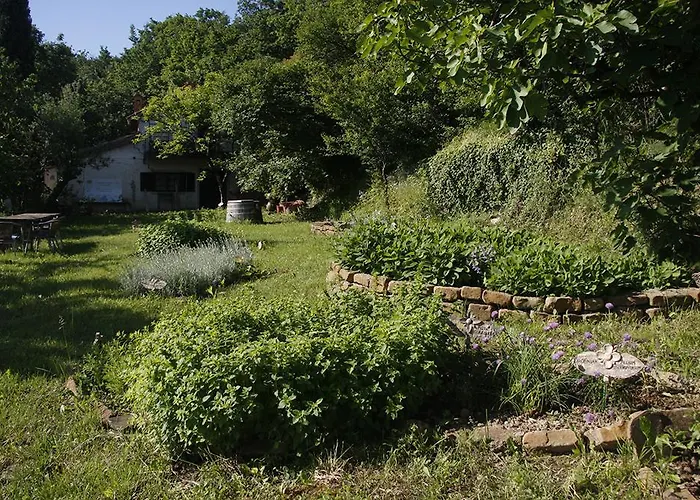 Alloggio per agriturismo Farm Domacija Butul Capodistria