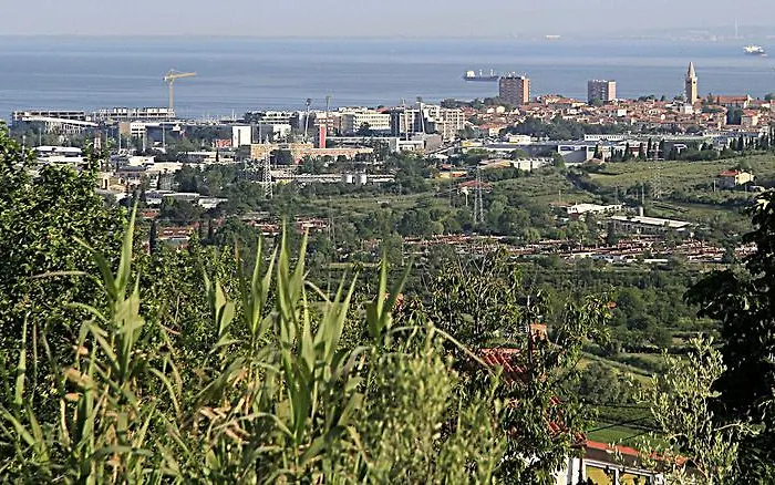 Alloggio per agriturismo Farm Domacija Butul