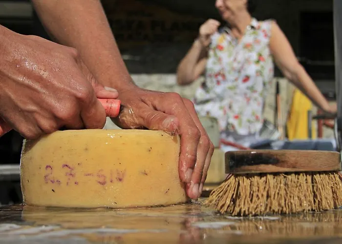 Alloggio per agriturismo Farm Domacija Butul