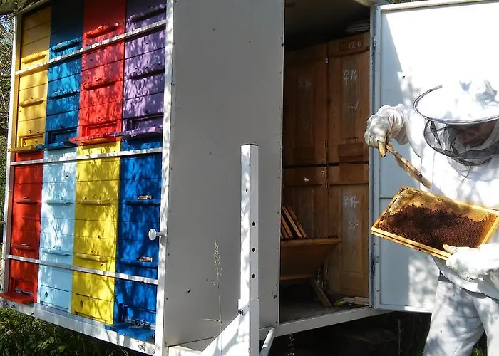 Alloggio per agriturismo Farm Domacija Butul *