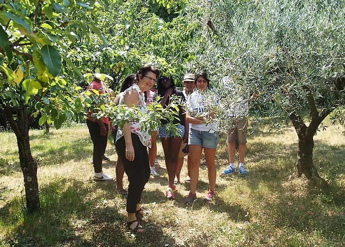 Farm Domacija Butul Capodistria