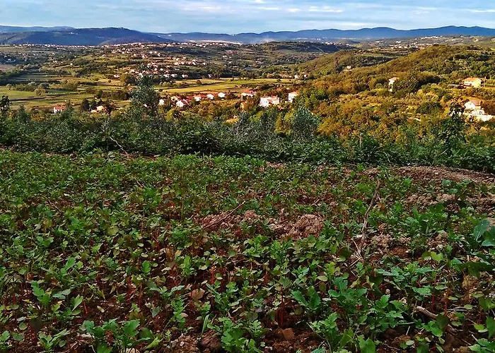 Farm Domacija Butul Capodistria